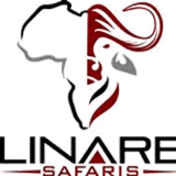 Linaretransparent