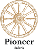 Pioneertallsqaure
