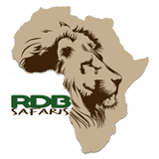 Rdbtransparent
